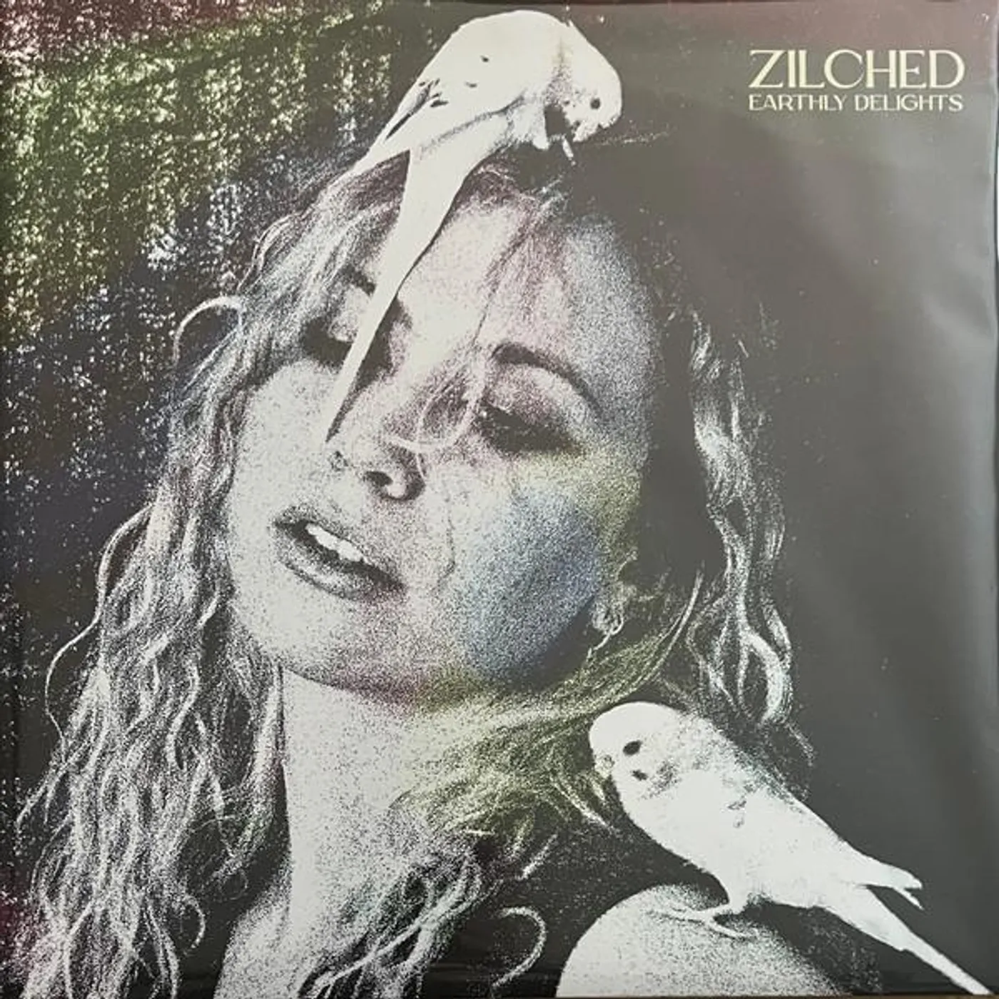 Zilched EARTHLY DELIGHTS Vinyl Record