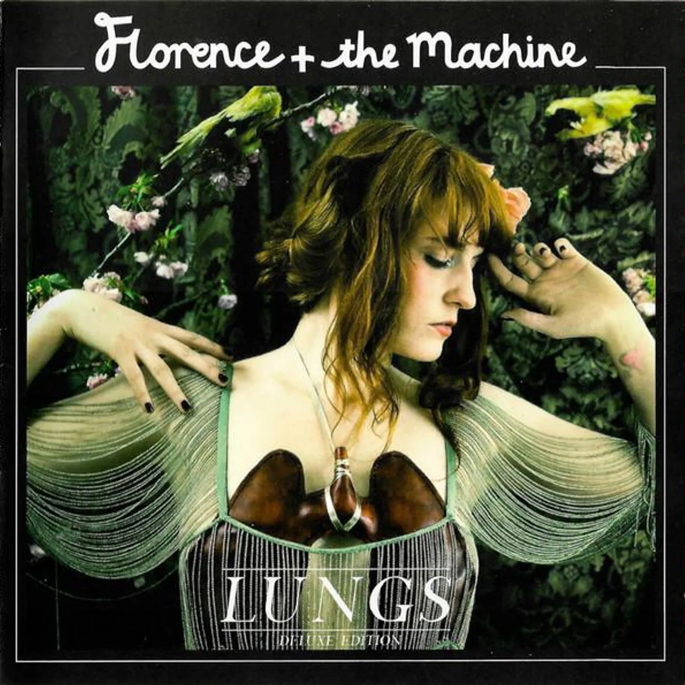 Florence + The Machine LUNGS CD