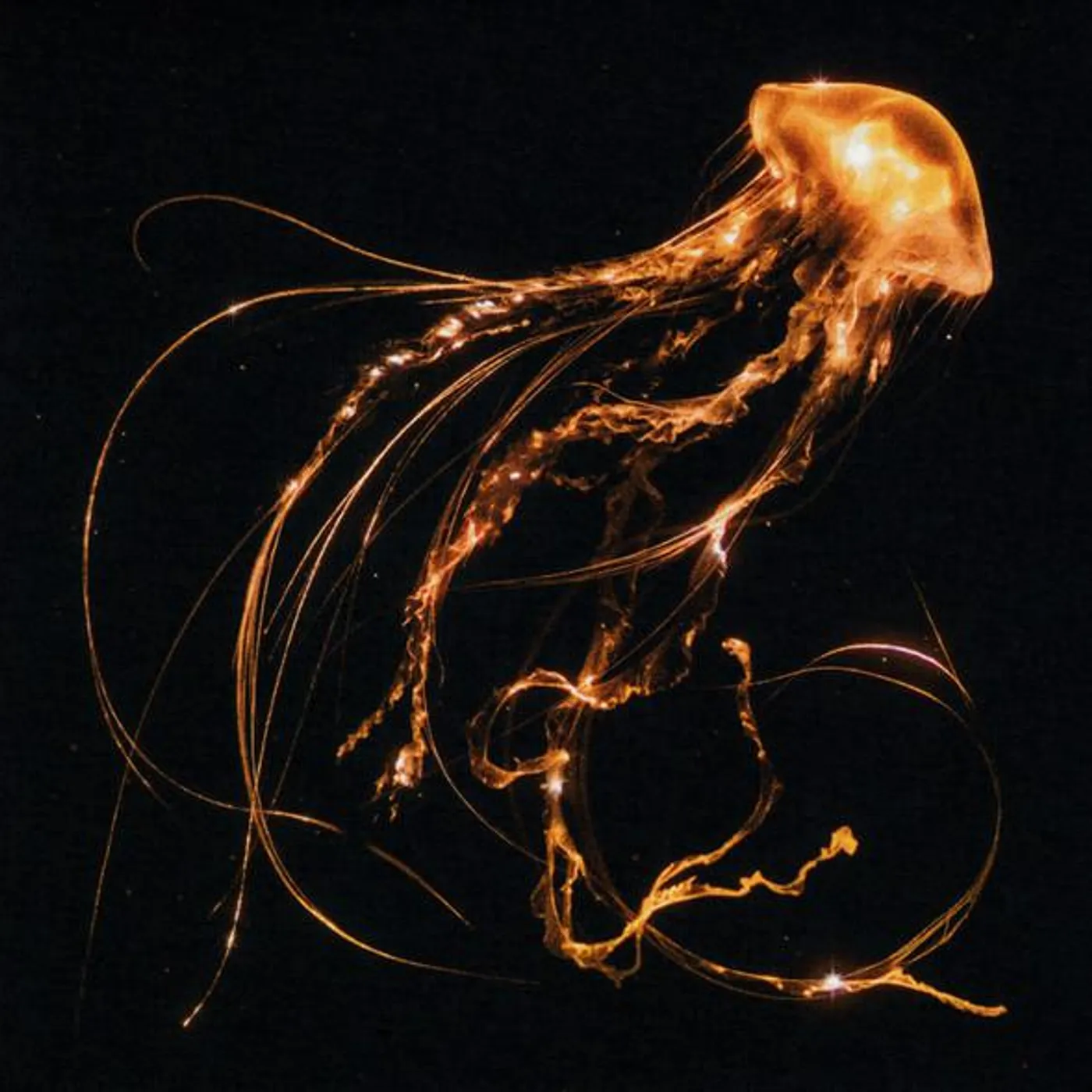 Royal Blood BACK TO THE WATER BELOW CD