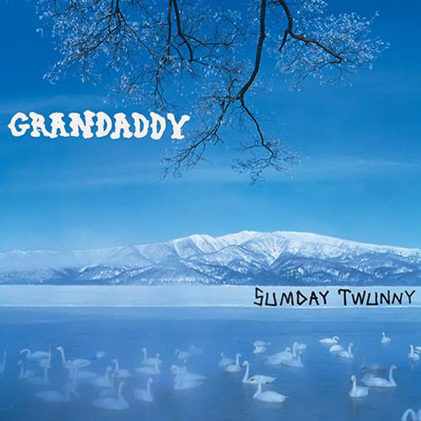 Grandaddy Sumday: Twunny (LP) Vinyl Record