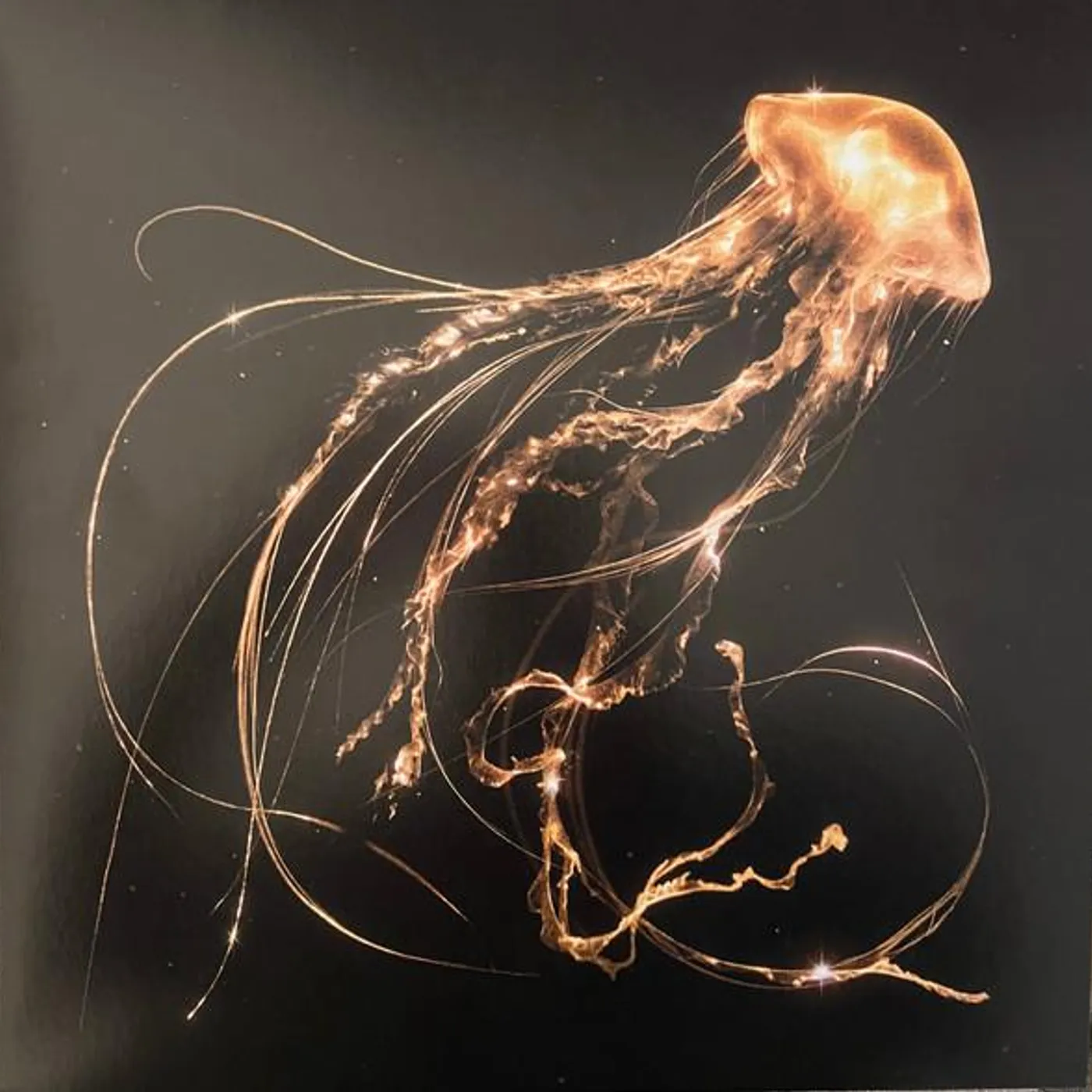 Royal Blood BACK TO THE WATER BELOW Vinyl Record