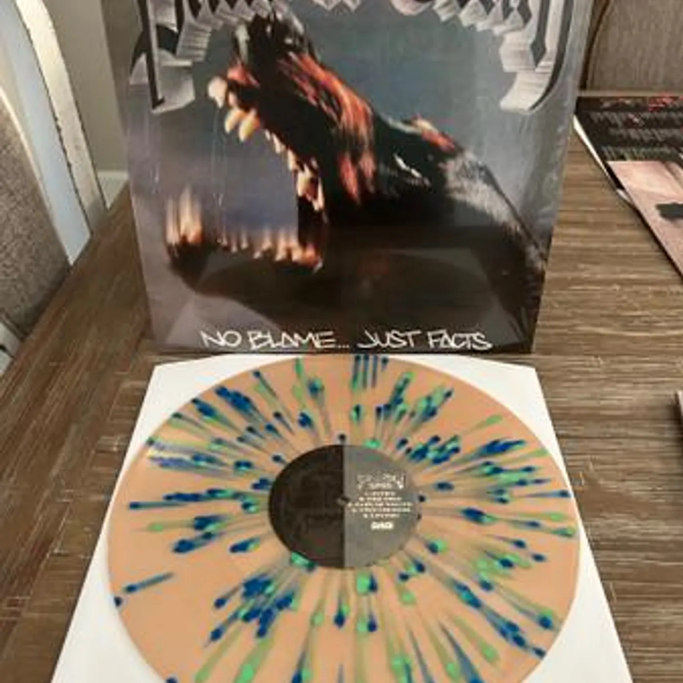 Pain of Truth NO BLAME JUST FACTS Vinyl Record