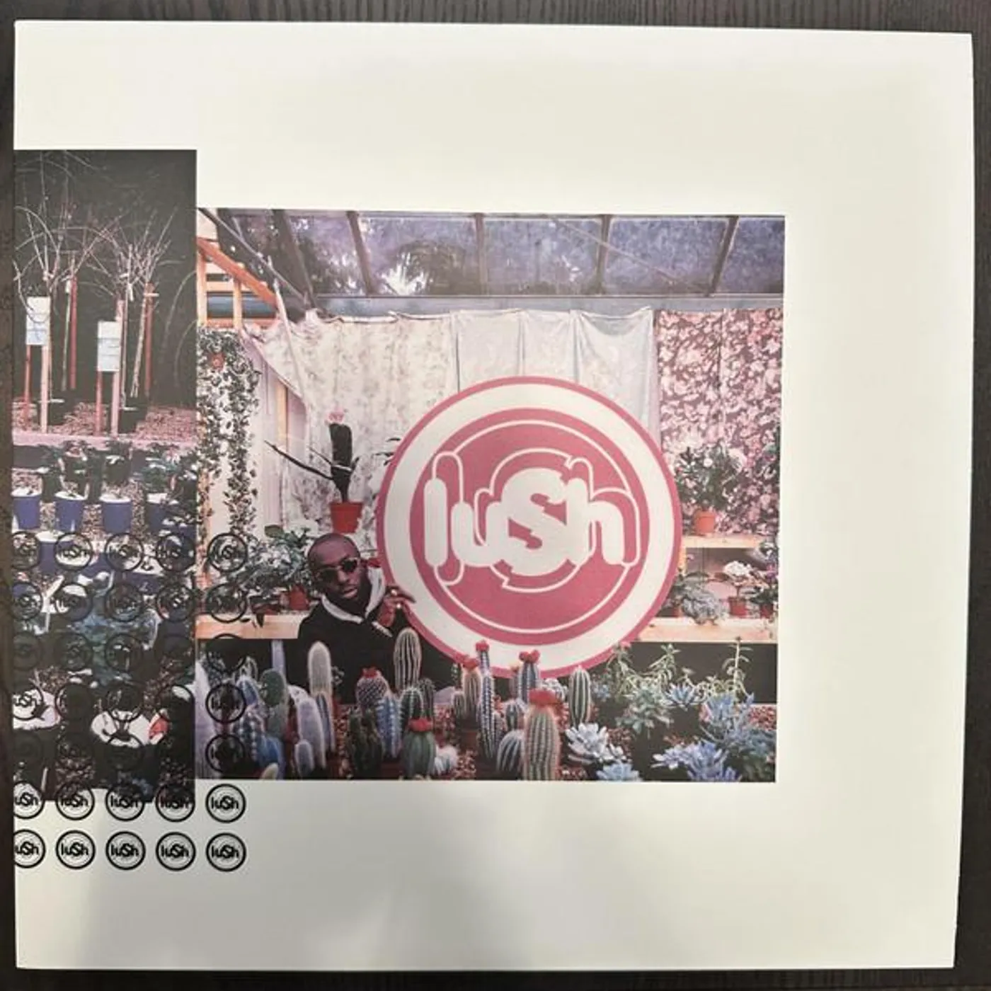 Lush LOVELIFE Vinyl Record