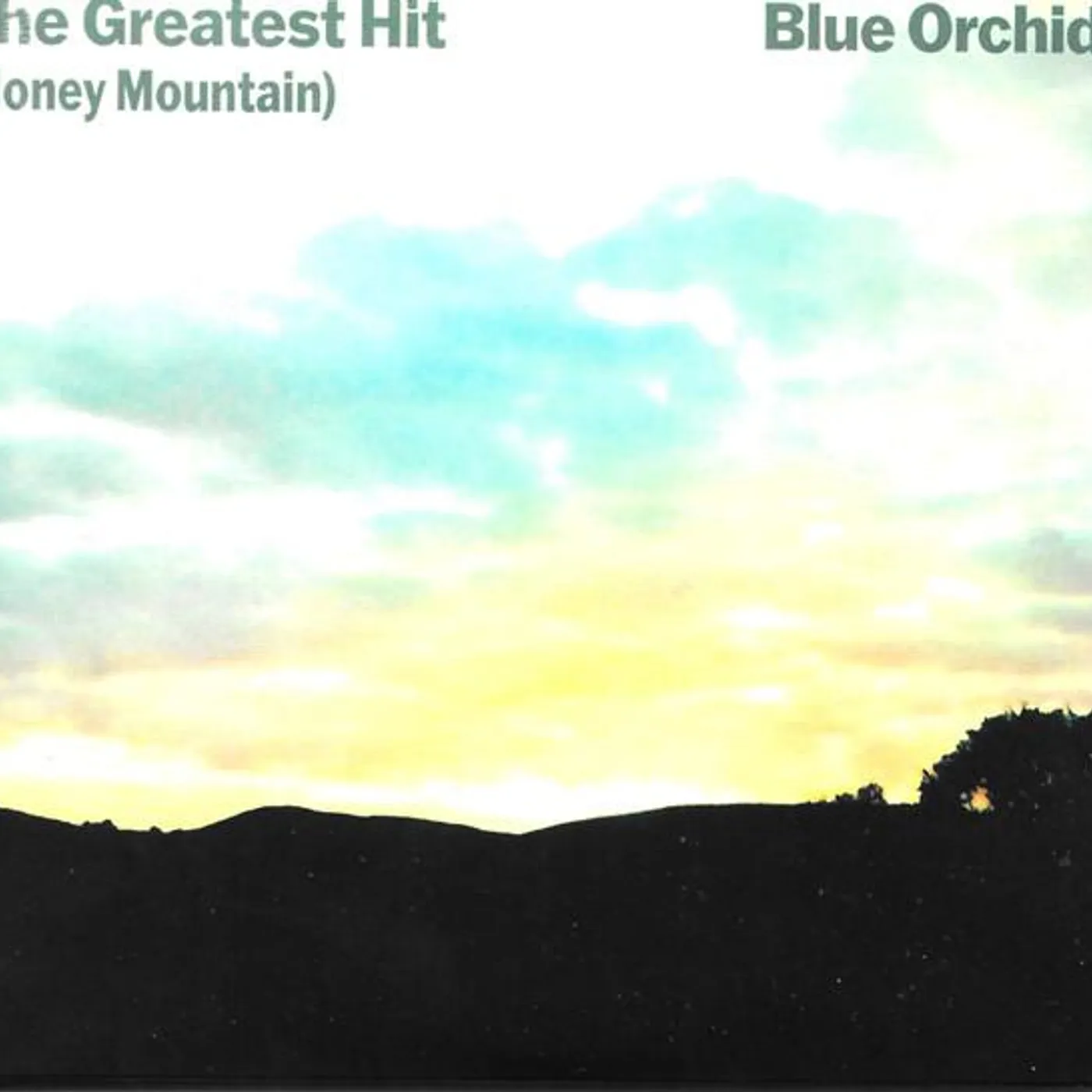 Blue Orchids GREATEST HIT (MONEY MOUNTAIN) CD