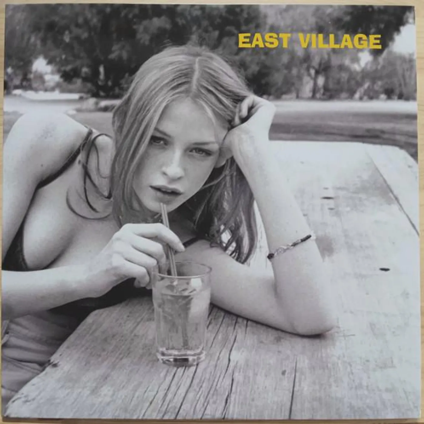 East Village Drop Out Vinyl Record