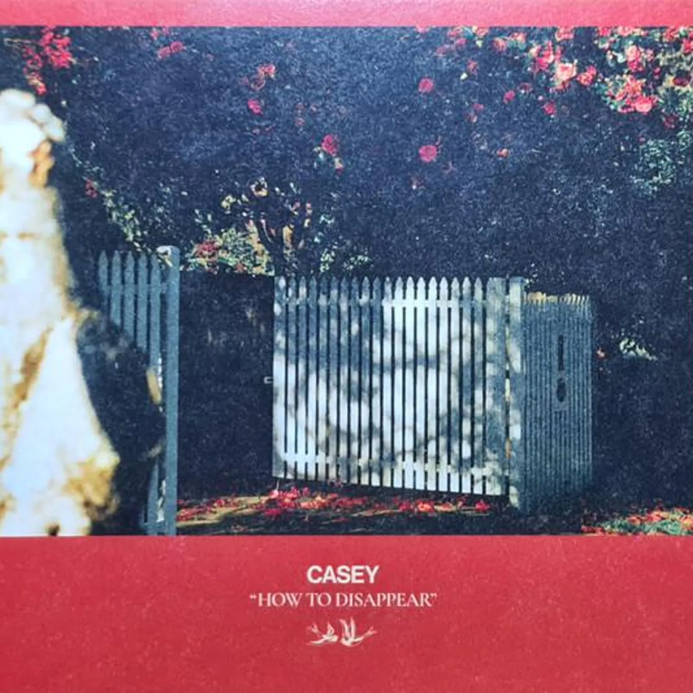 Casey HOW TO DISAPPEAR CD