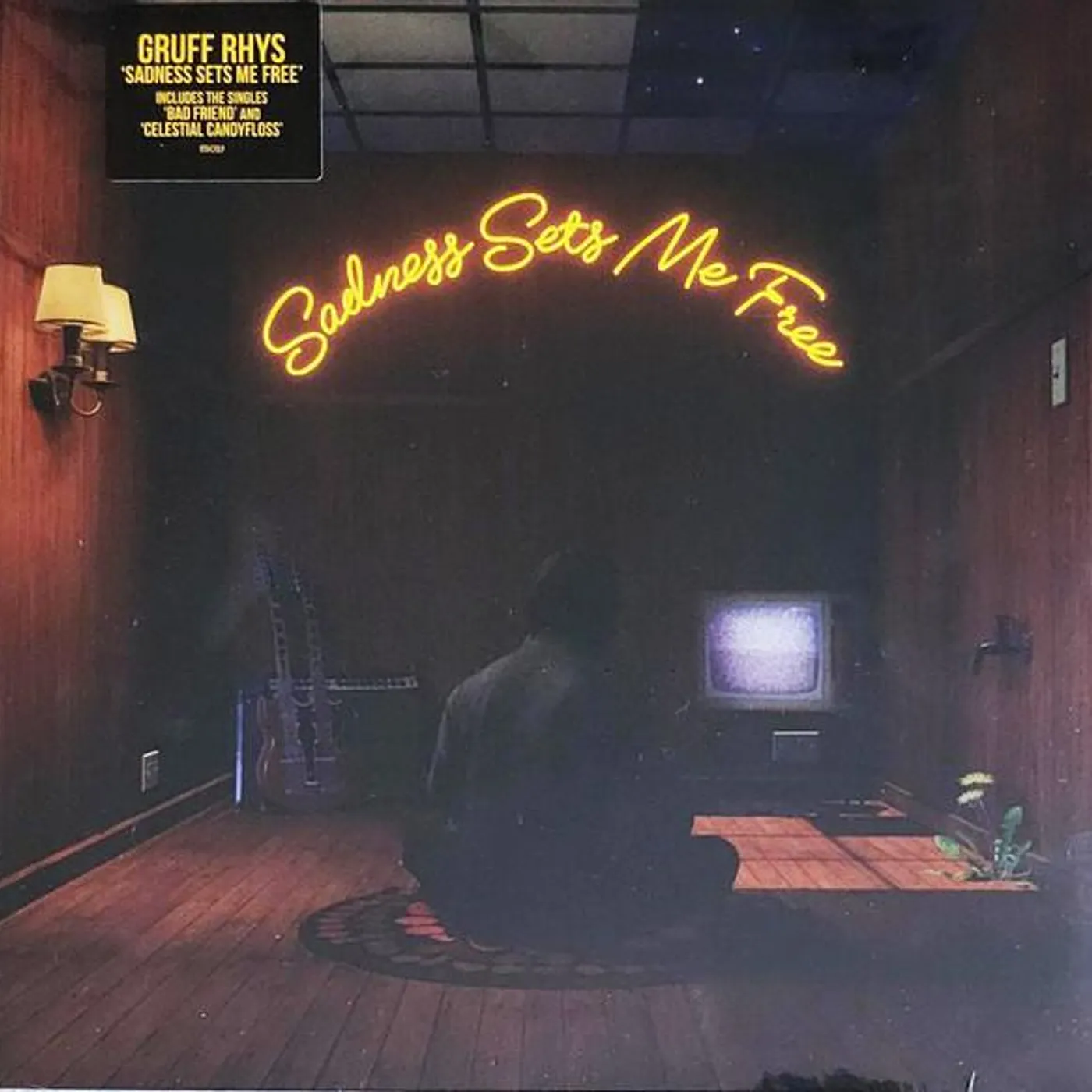 Gruff Rhys SADNESS SETS ME FREE Vinyl Record