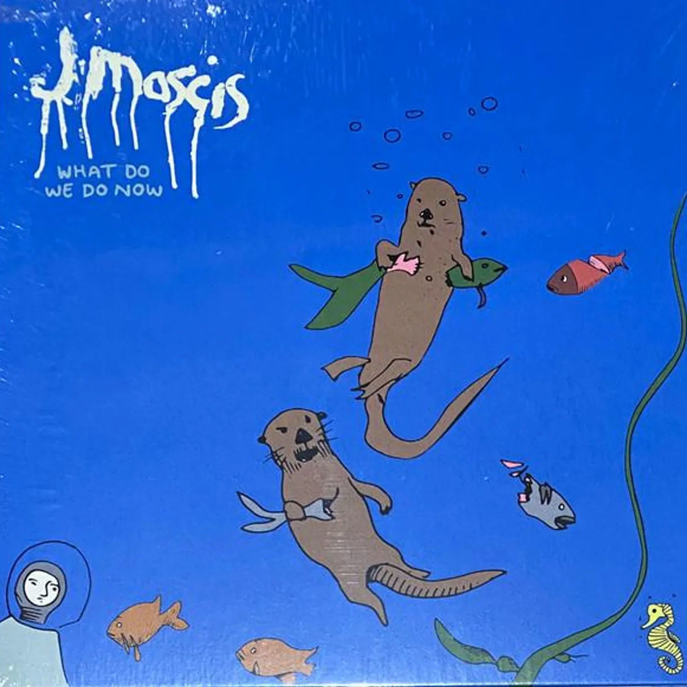 J Mascis WHAT DO WE DO NOW CD