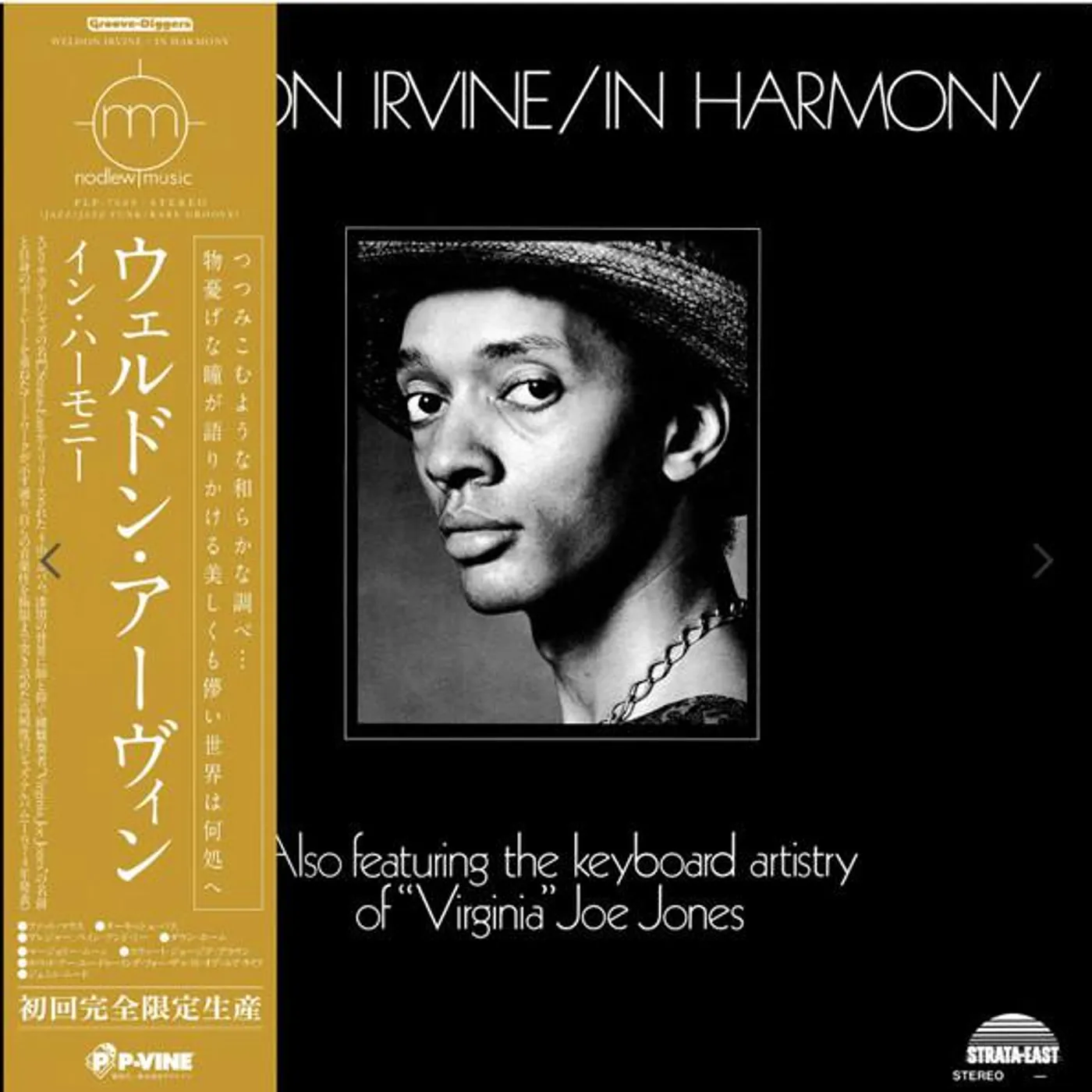 Weldon Irvine In Harmony Vinyl Record