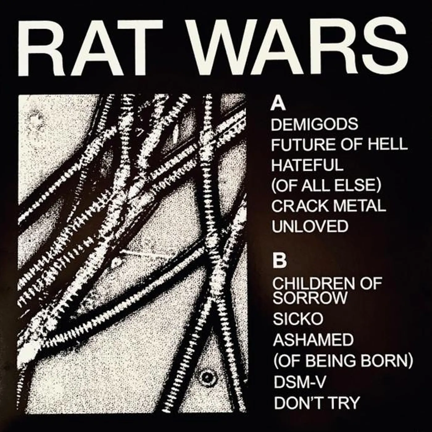 HEALTH RAT WARS Vinyl Record