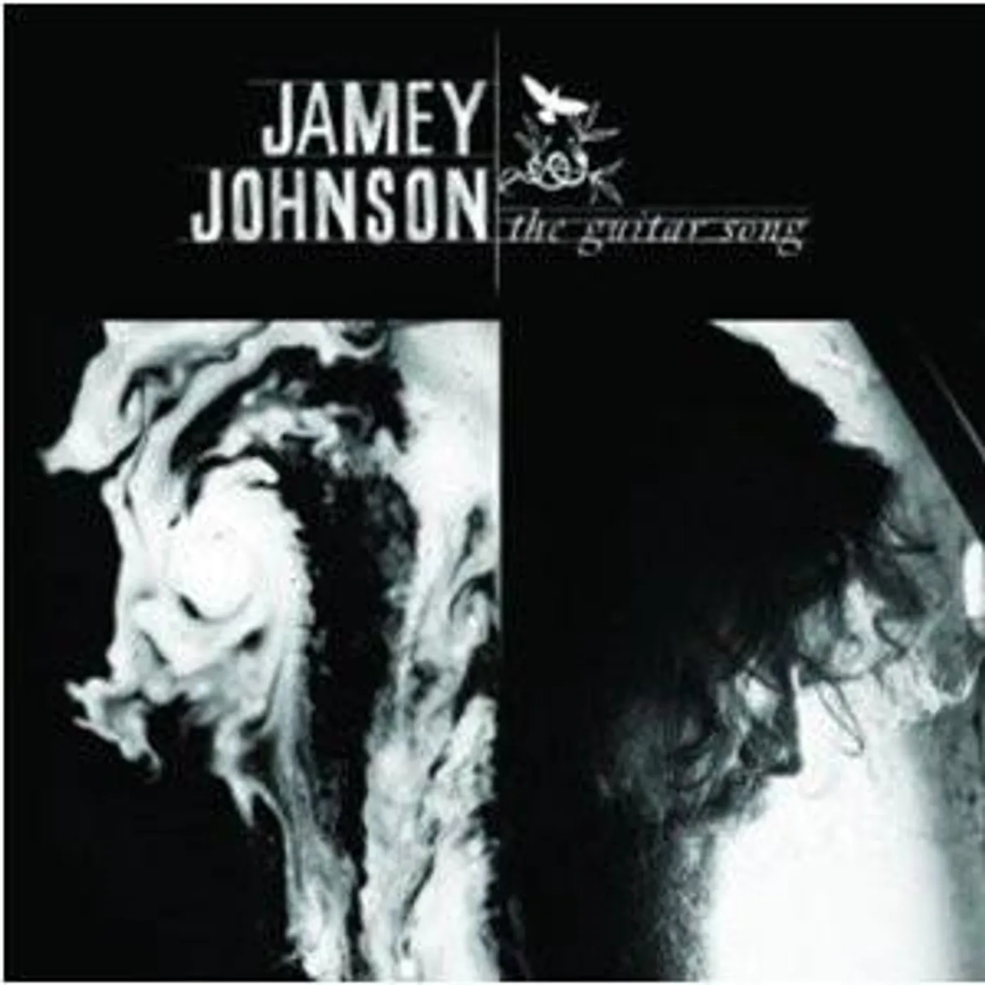 Jamey Johnson GUITAR SONG CD