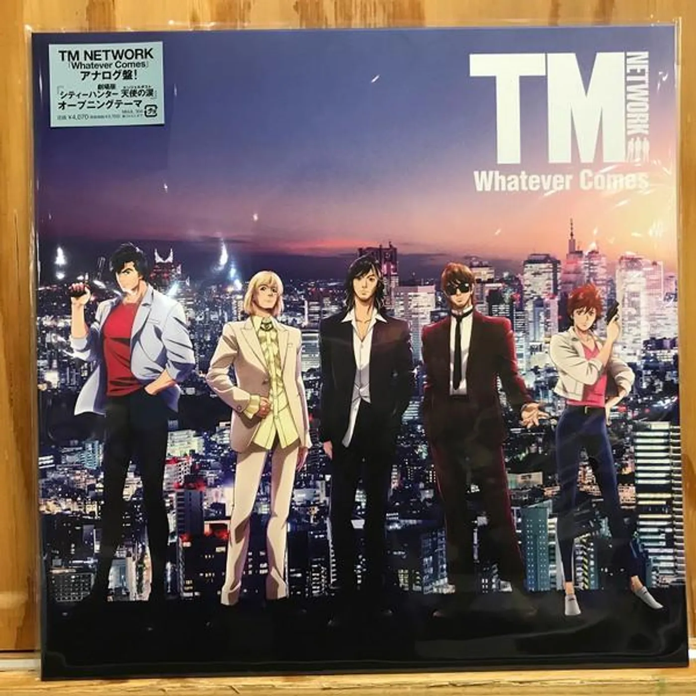 TM NETWORK WHATEVER COMES Vinyl Record