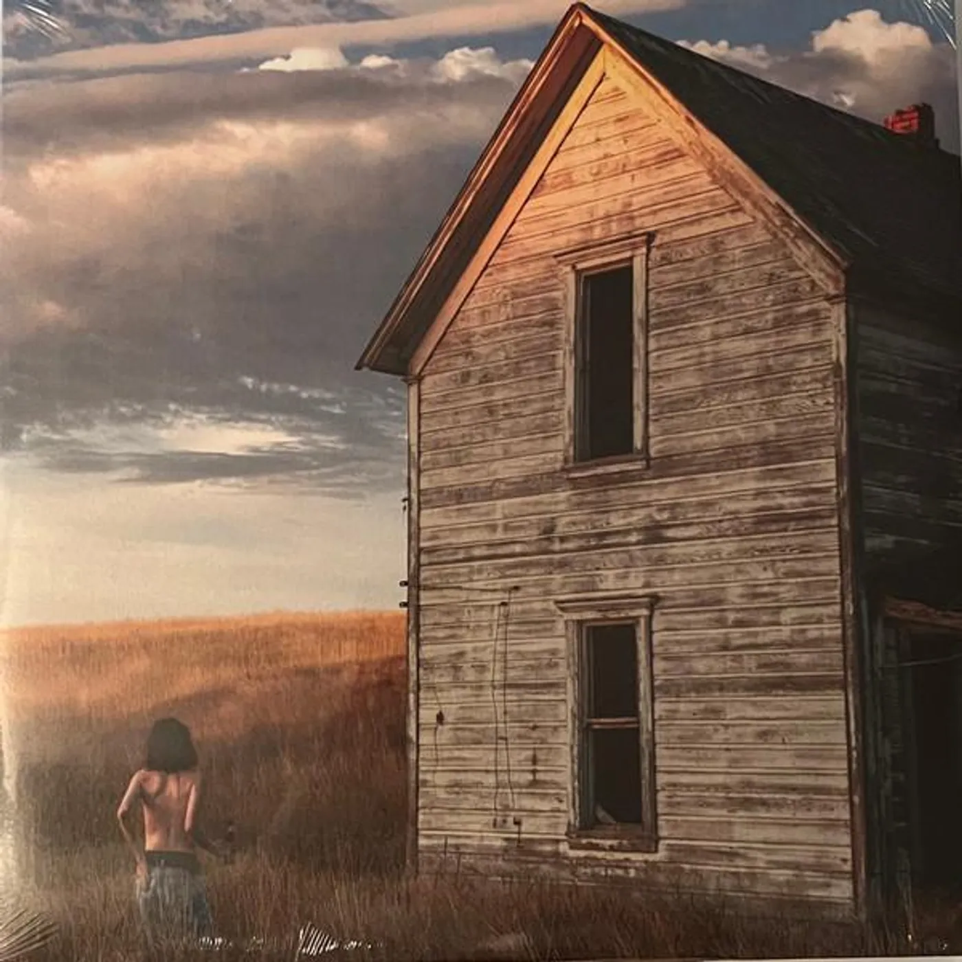 Jane Remover Census Designated (Color Vinyl/2LP) Vinyl Record