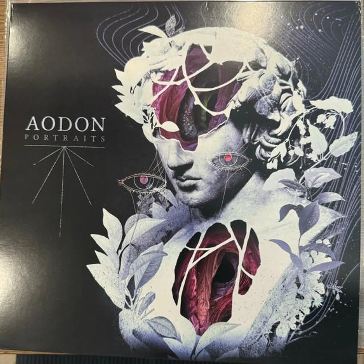 Aodon PORTRAITS Vinyl Record