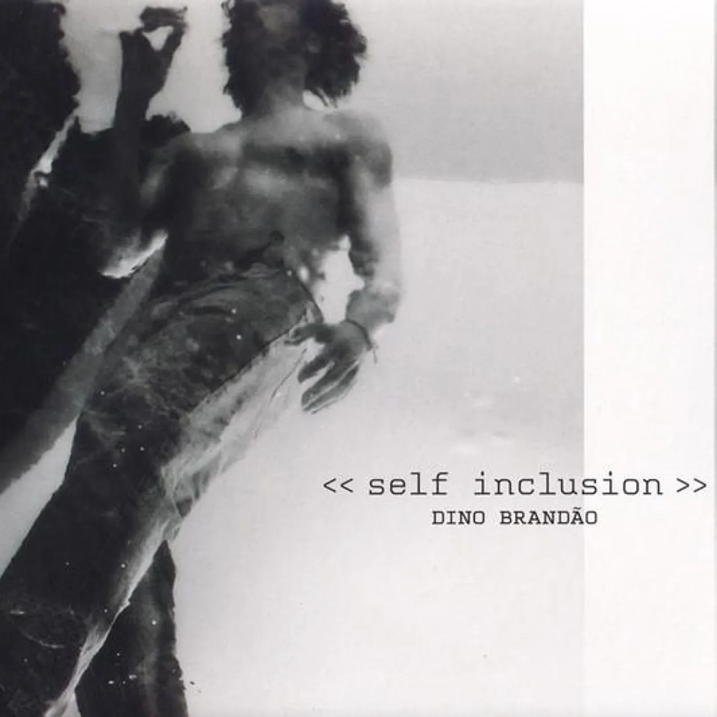 Dino Brandão SELF-INCLUSION CD