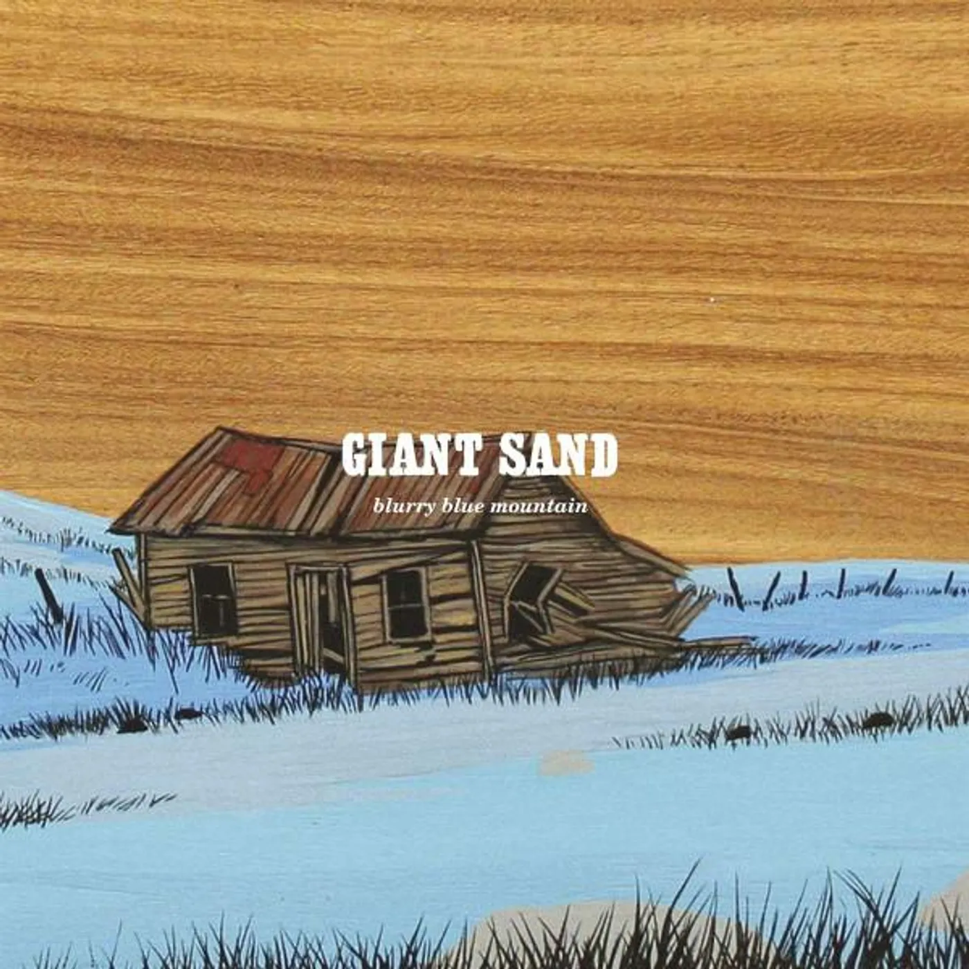 Giant Sand BLURRY BLUE MOUNTAIN Vinyl Record