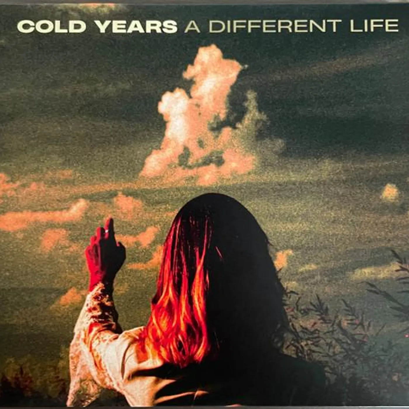 Cold Years DIFFERENT LIFE CD