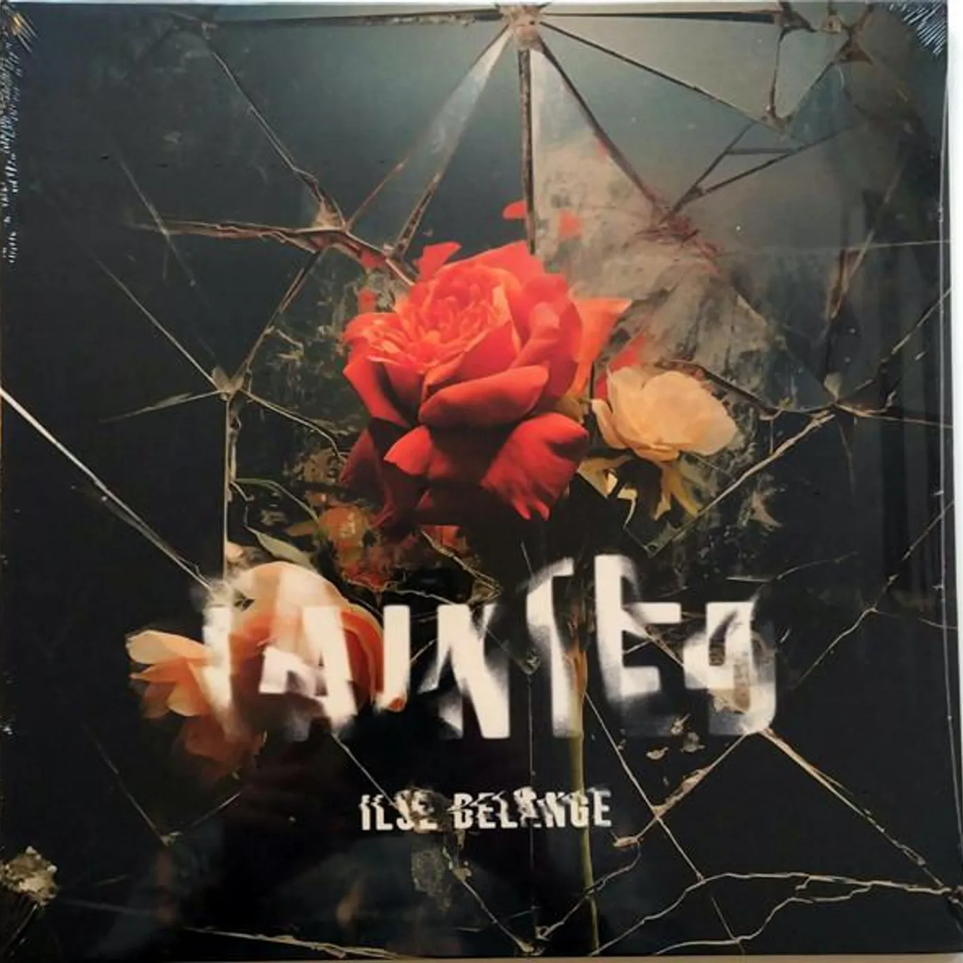 Ilse DeLange TAINTED Vinyl Record