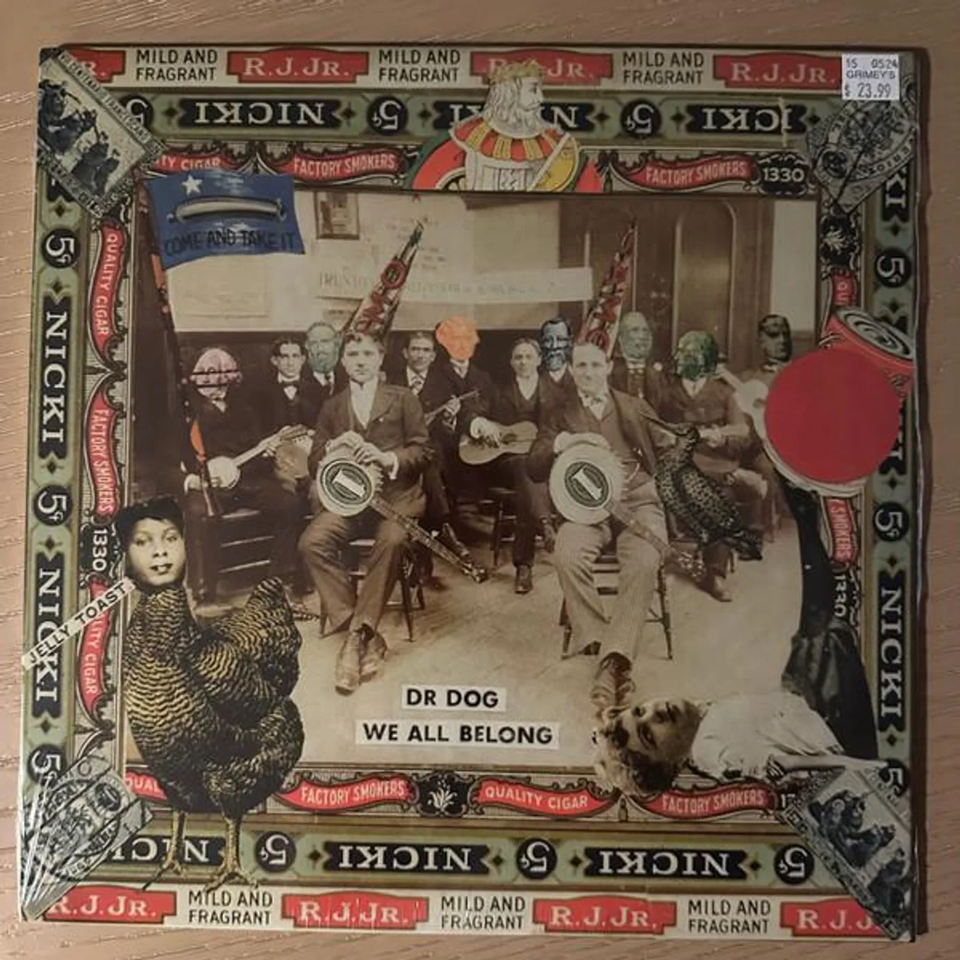 Dr. Dog WE ALL BELONG Vinyl Record