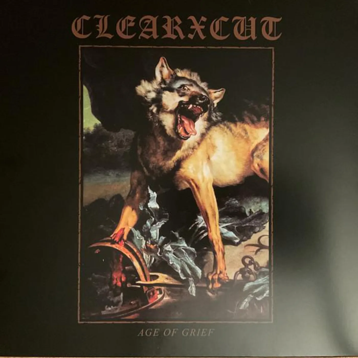 CLEARxCUT AGE OF GRIEF Vinyl Record