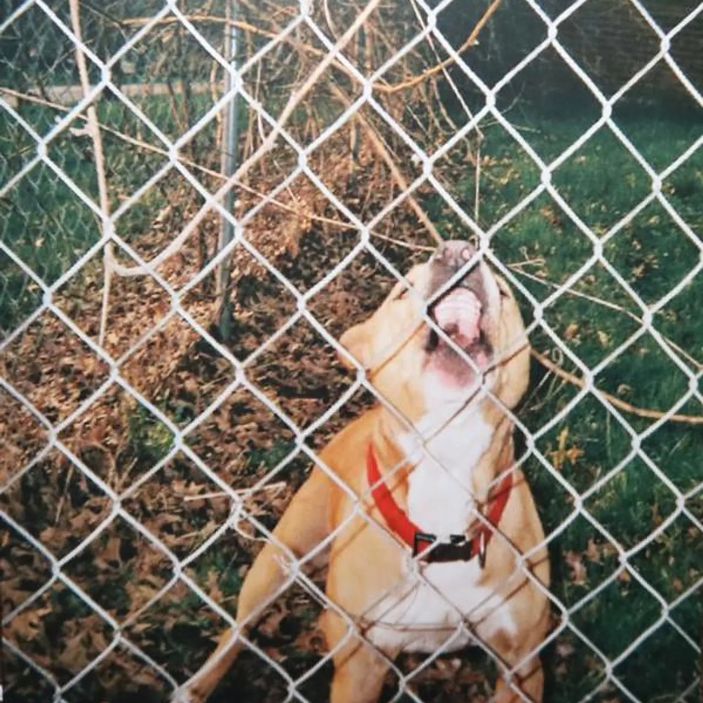 Knocked Loose POP CULTURE EP (COLOURED VINYL) Vinyl Record