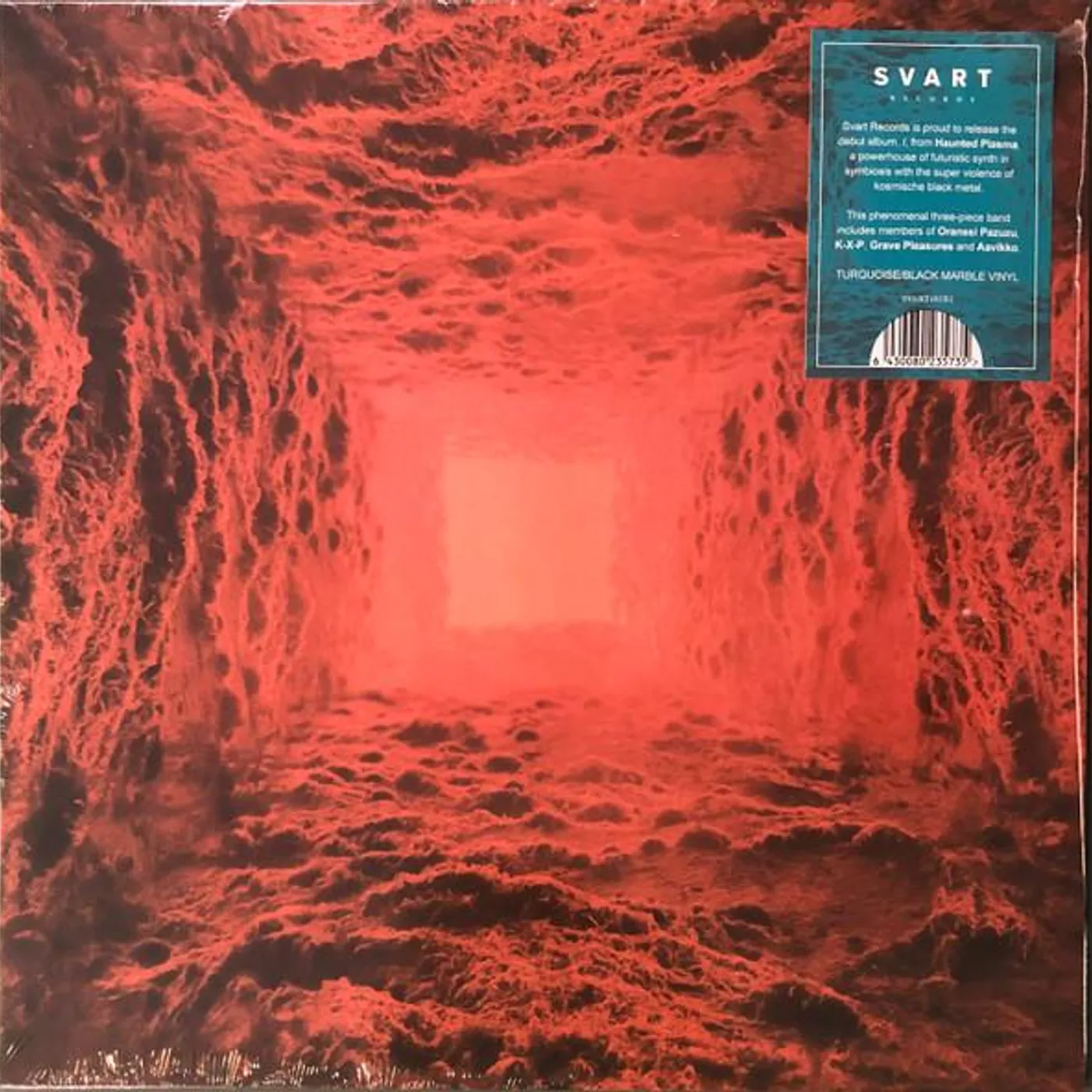 Haunted Plasma I. Vinyl Record