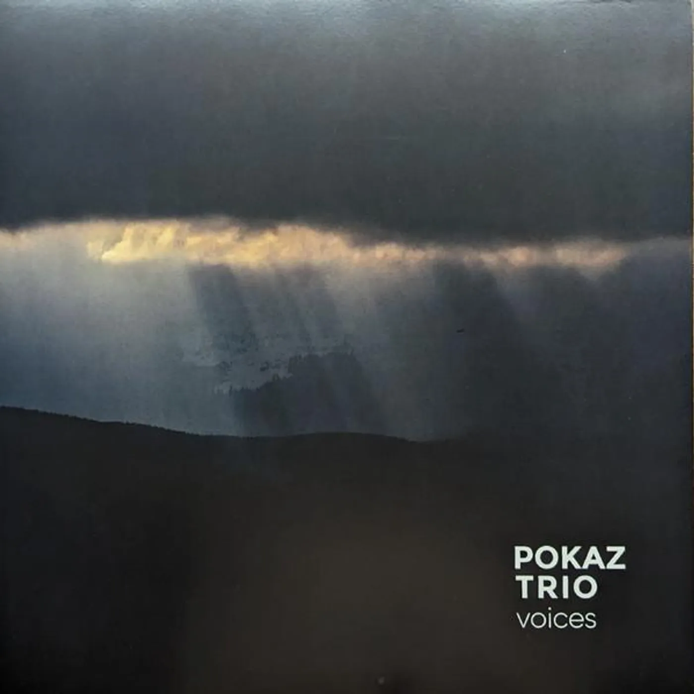 Pokaz Trio VOICES Vinyl Record
