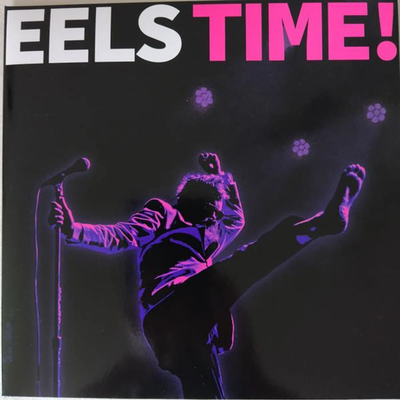 EELS TIME Vinyl Record