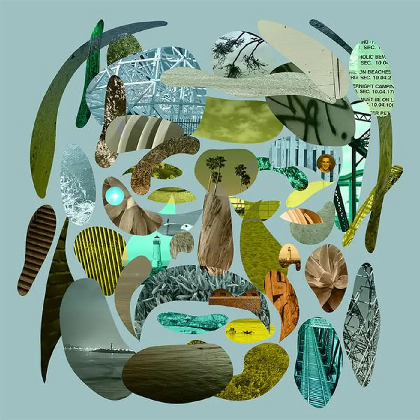 Pedro The Lion SANTA CRUZ Vinyl Record