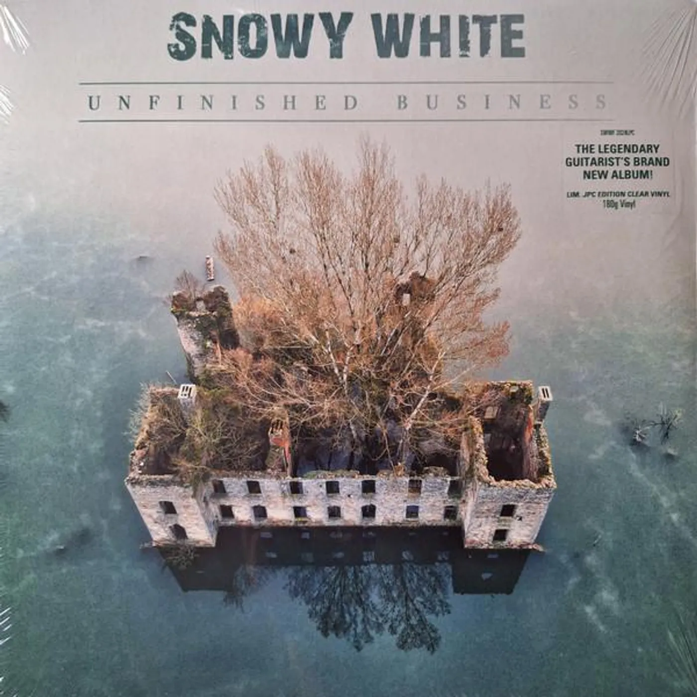 Snowy White UNFINISHED BUSINESS Vinyl Record