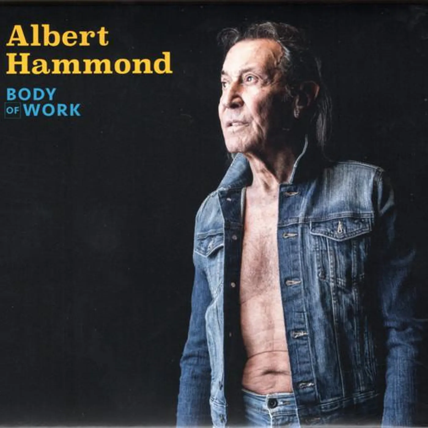 Albert Hammond BODY OF WORK CD