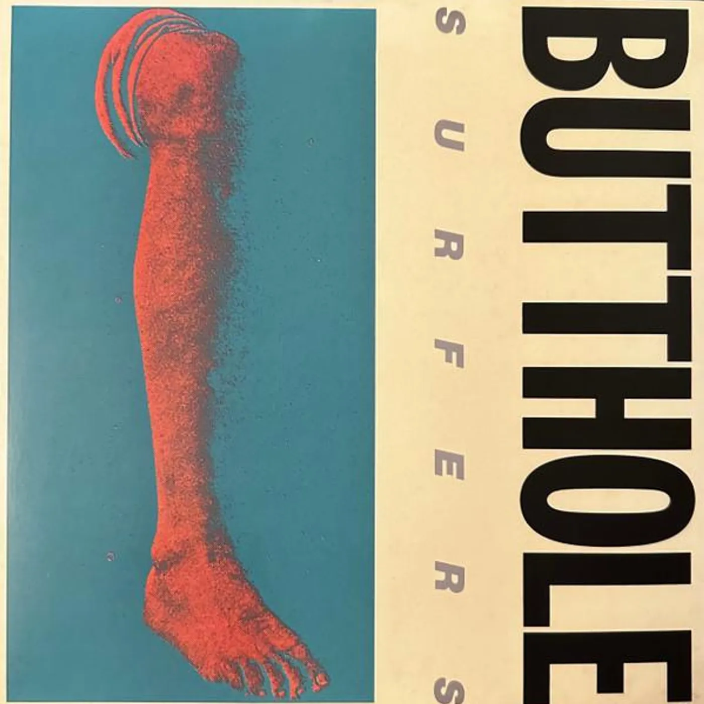 Butthole Surfers REMBRANDT PUSSYHORSE Vinyl Record