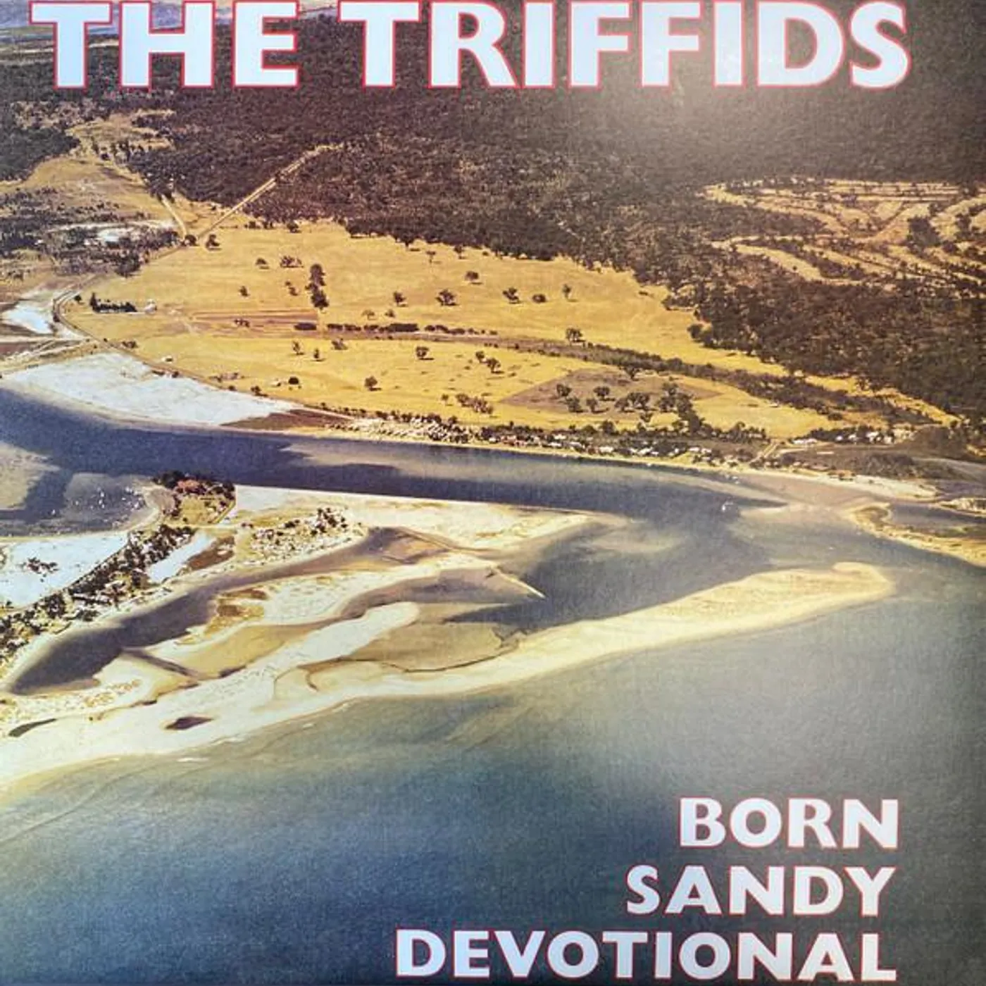 The Triffids Born Sandy Devotional (Yellow) Vinyl Record