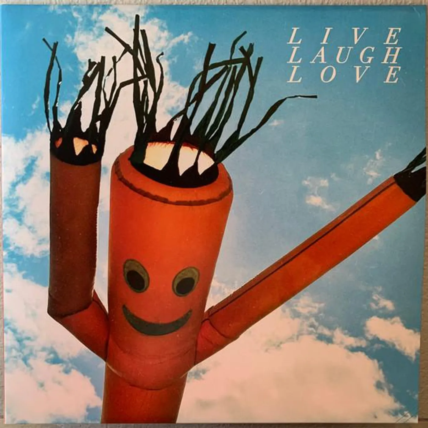 Chastity Belt Live Laugh Love (180G/Cloudy) Vinyl Record