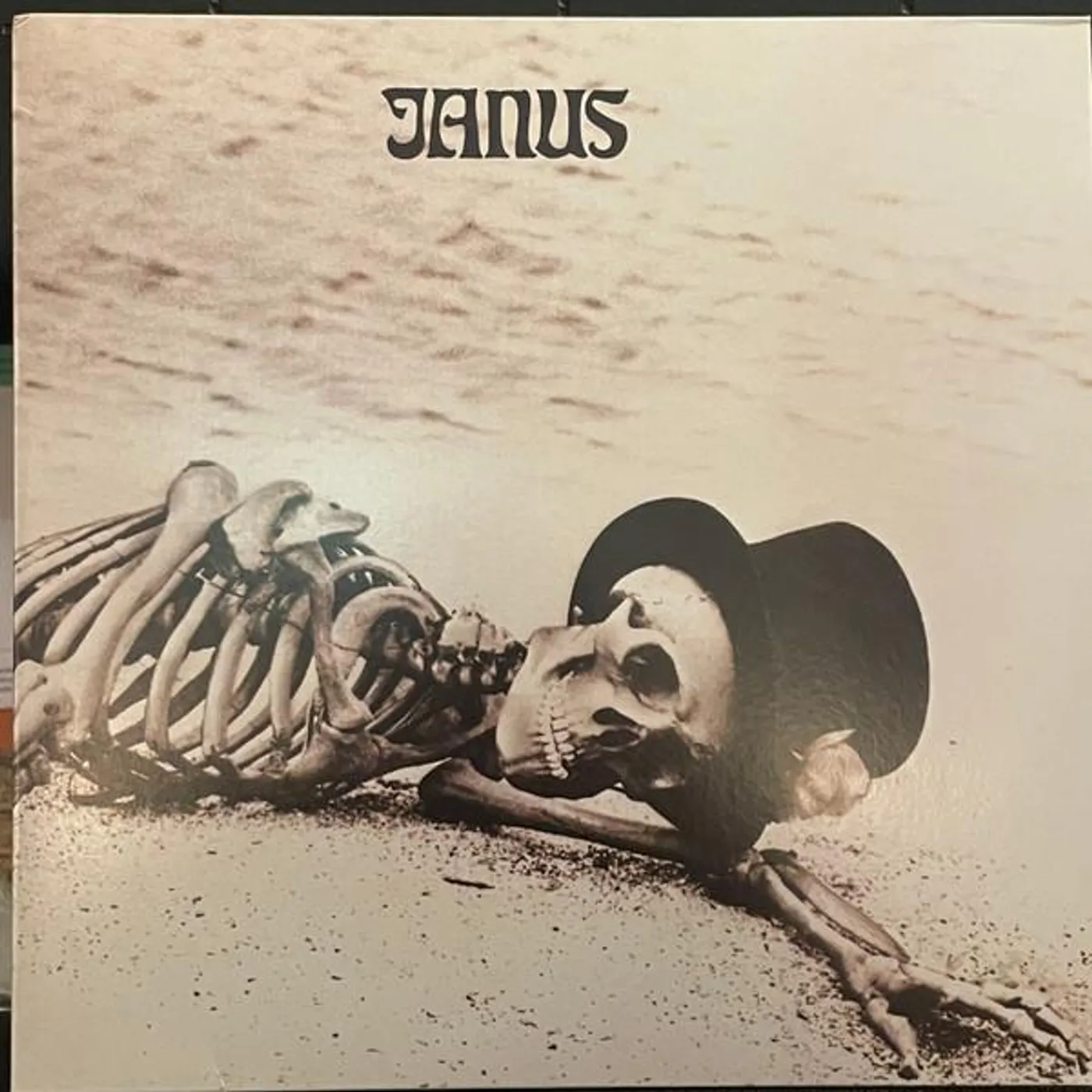 Janus GRAVEDIGGER Vinyl Record