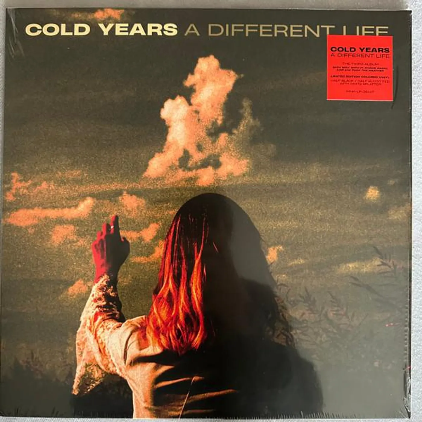 Cold Years DIFFERENT LIFE Vinyl Record