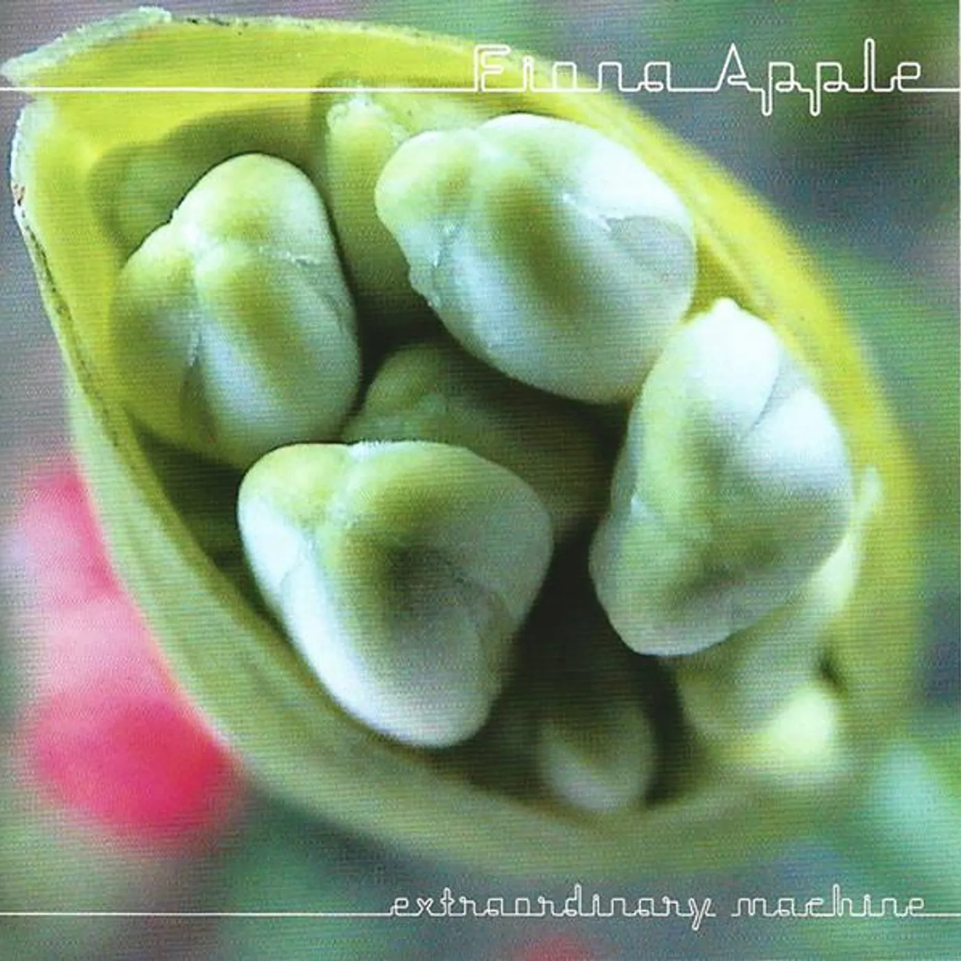 Fiona Apple EXTRAORDINARY MACHINE CD