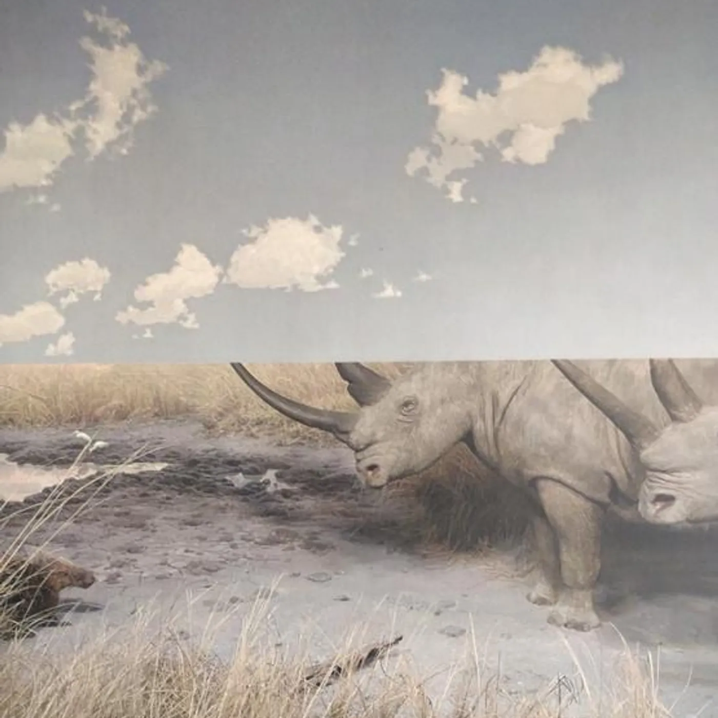 Carpet COLLISION Vinyl Record