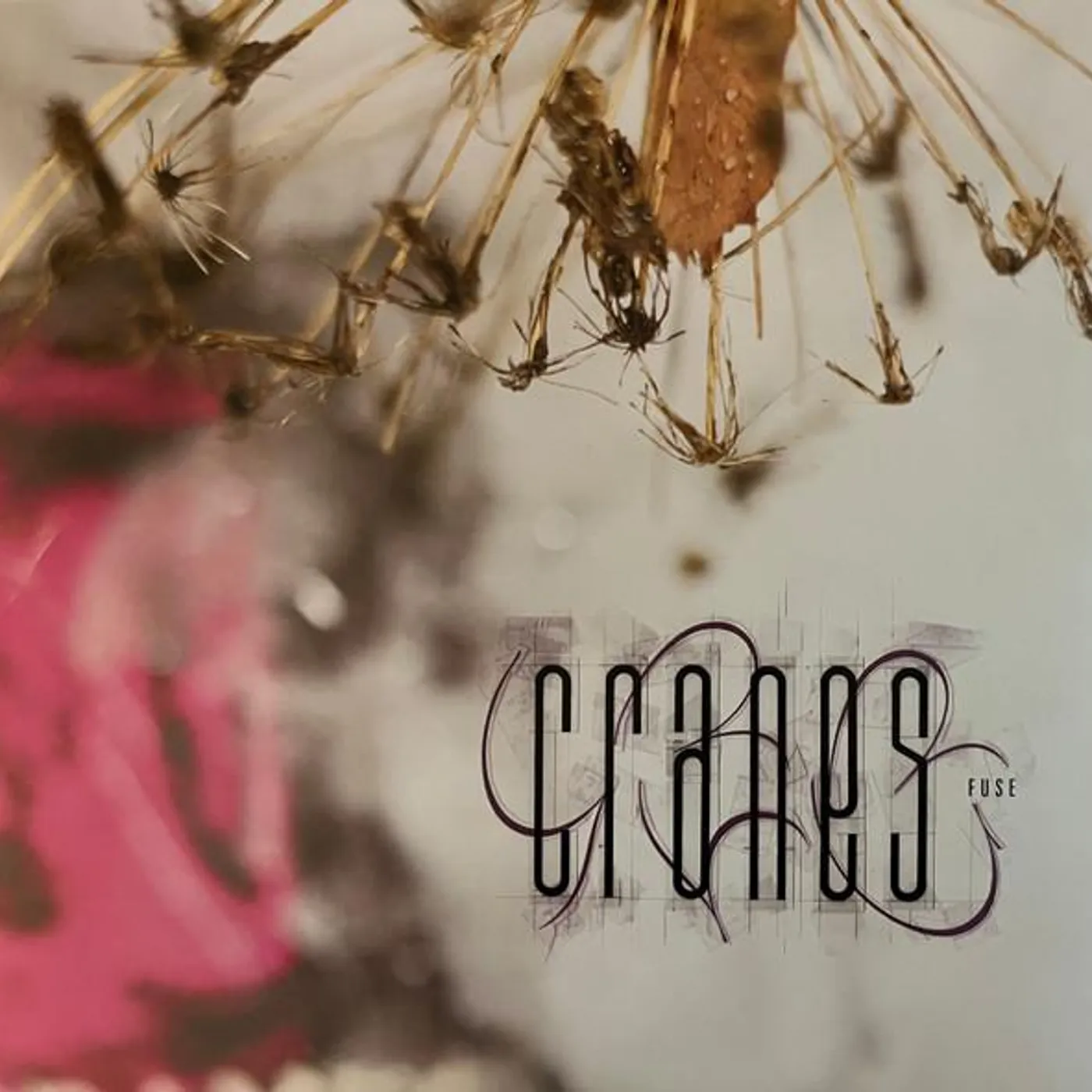 Cranes FUSE Vinyl Record