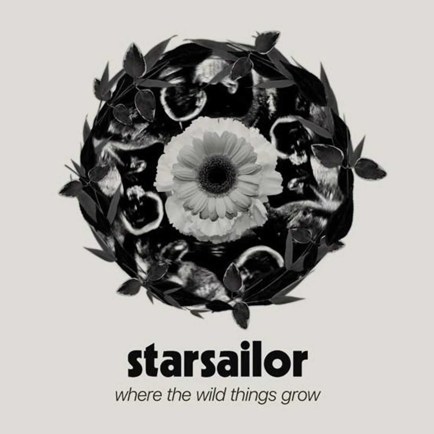 Starsailor WHERE THE WILD THINGS GROW CD
