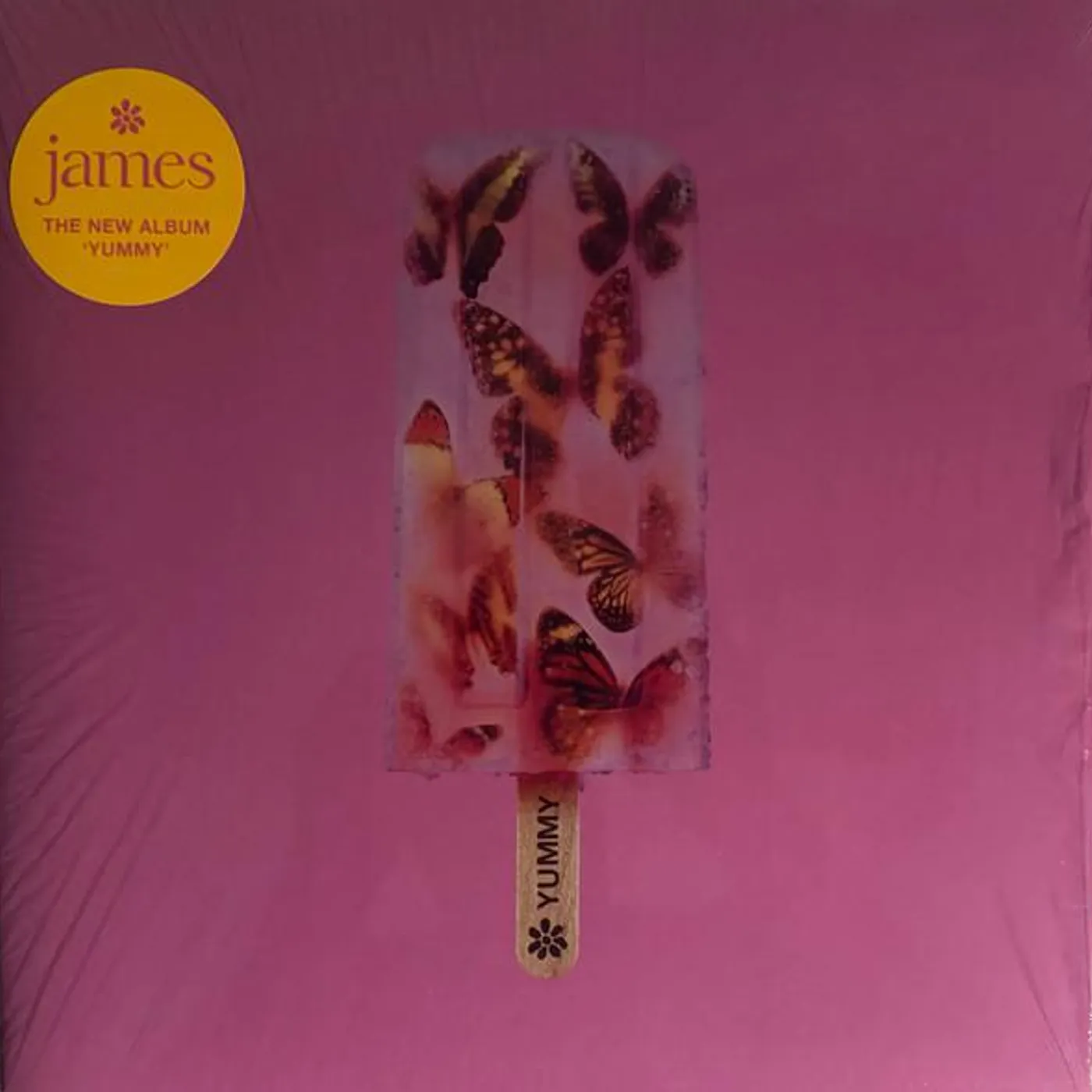 James YUMMY Vinyl Record