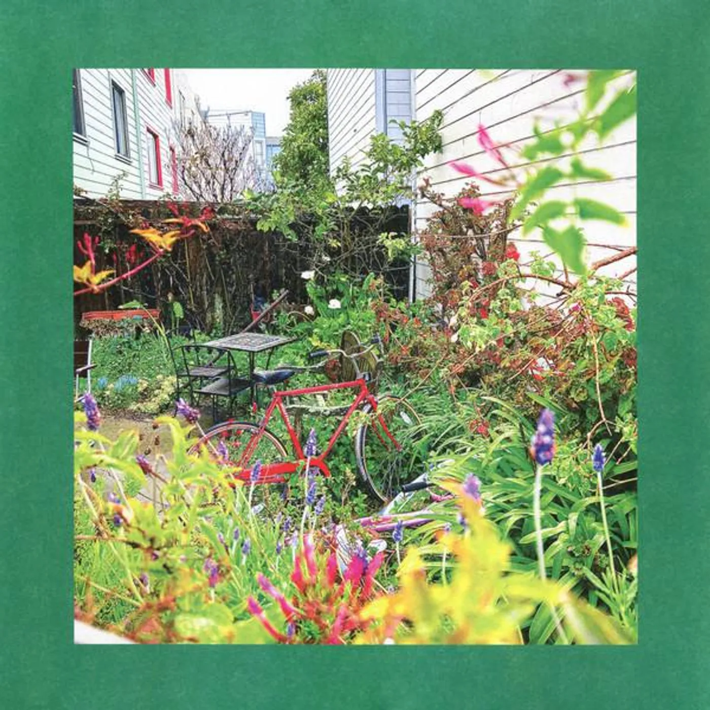 The Reds, Pinks and Purples Unwishing Well Vinyl Record