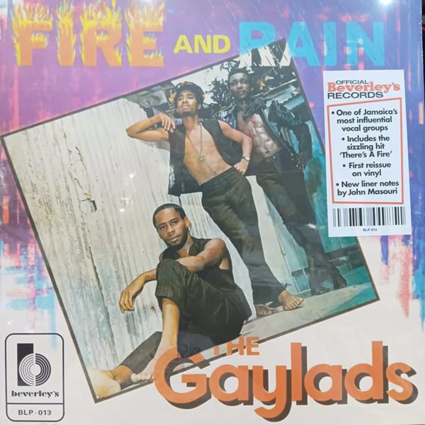 The Gaylads FIRE & RAIN Vinyl Record
