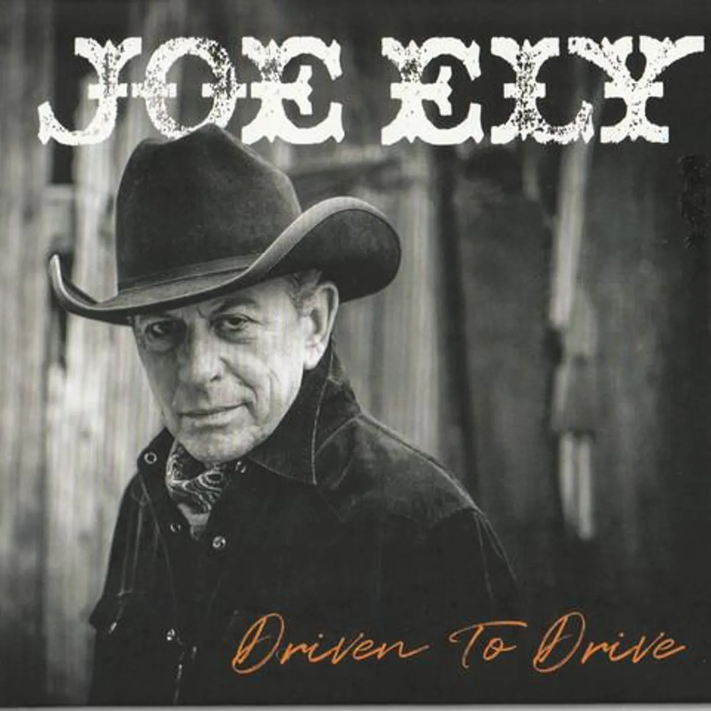 Joe Ely DRIVEN TO DRIVE CD