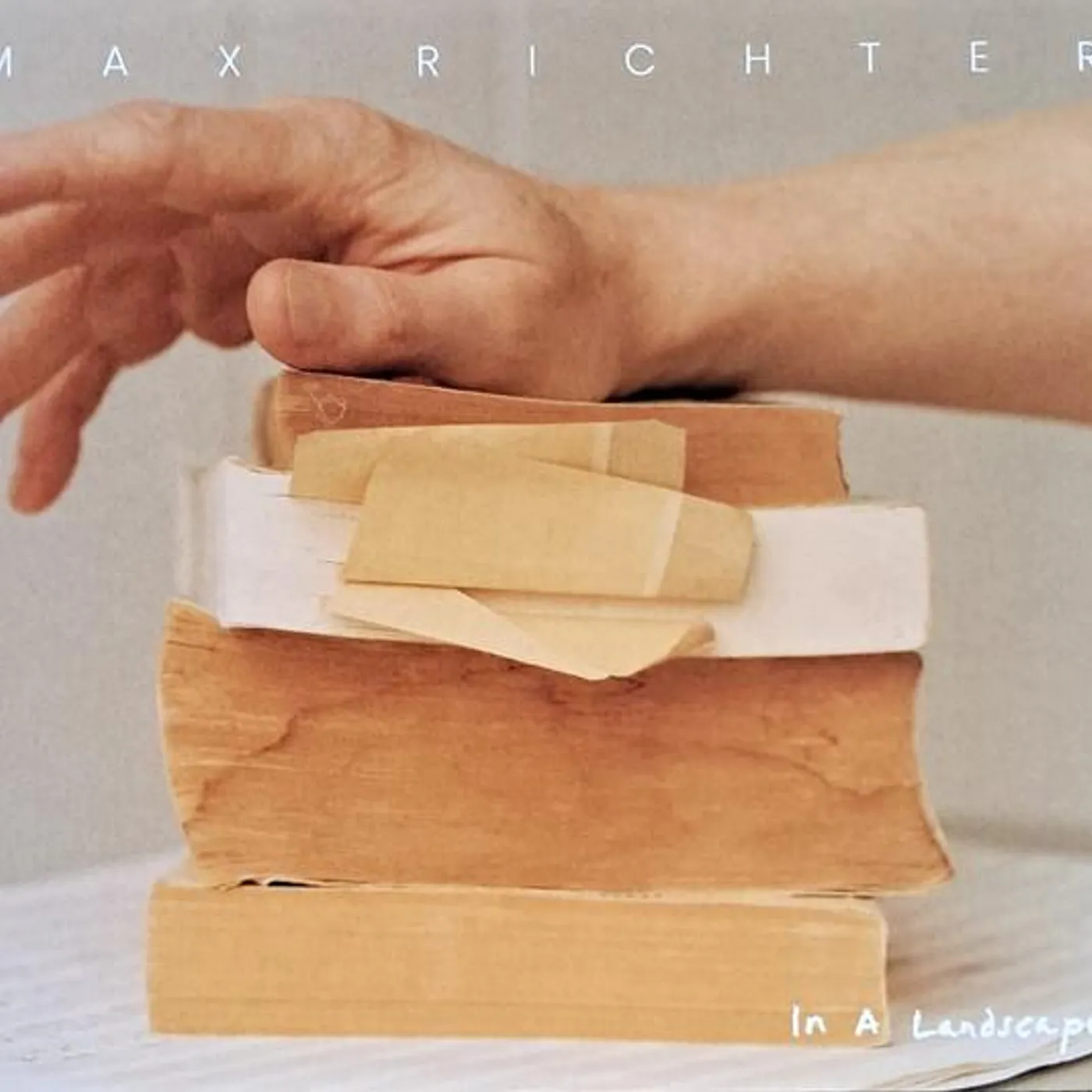 Max Richter IN A LANDSCAPE CD
