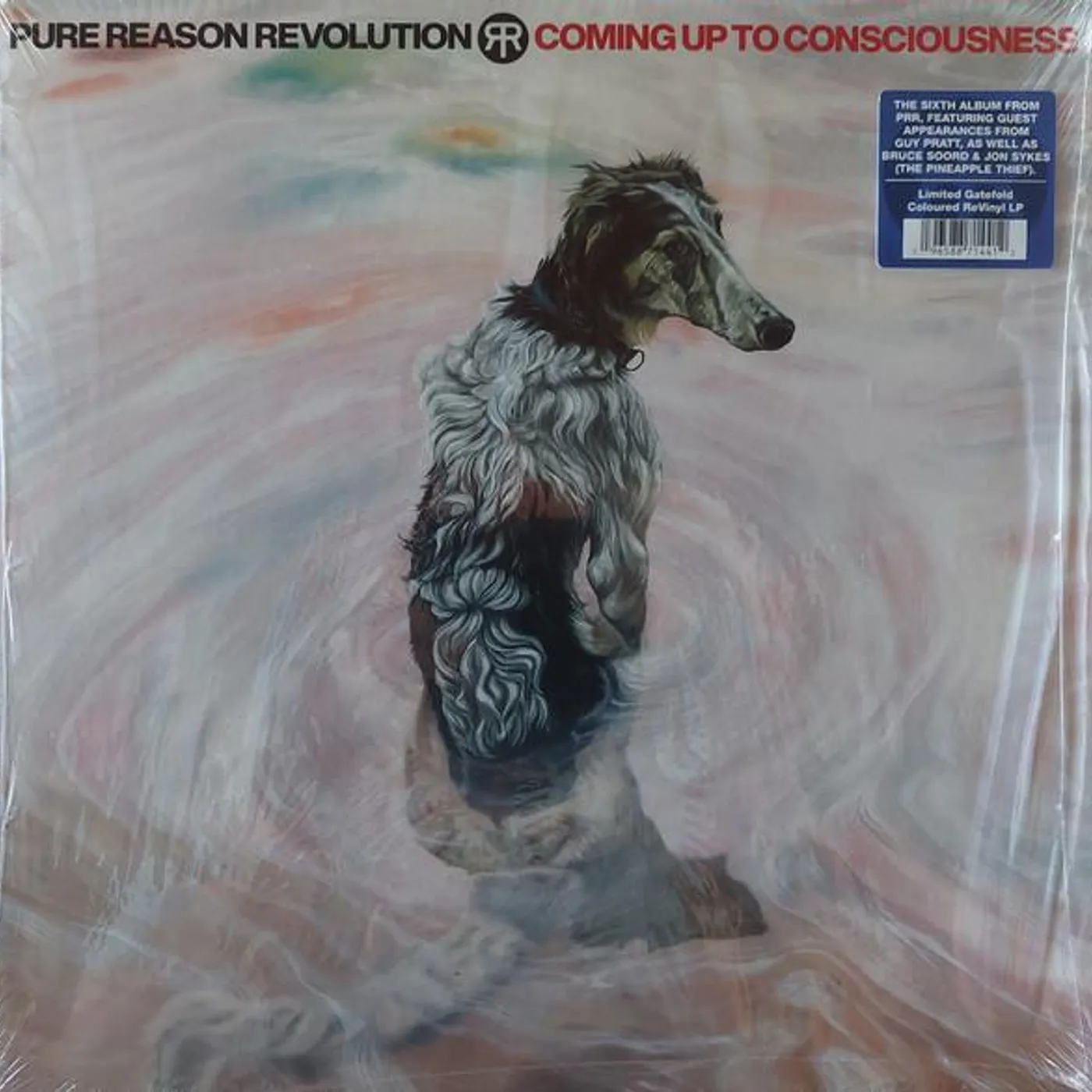 Pure Reason Revolution COMING UP TO CONSCIOUSNESS Vinyl Record
