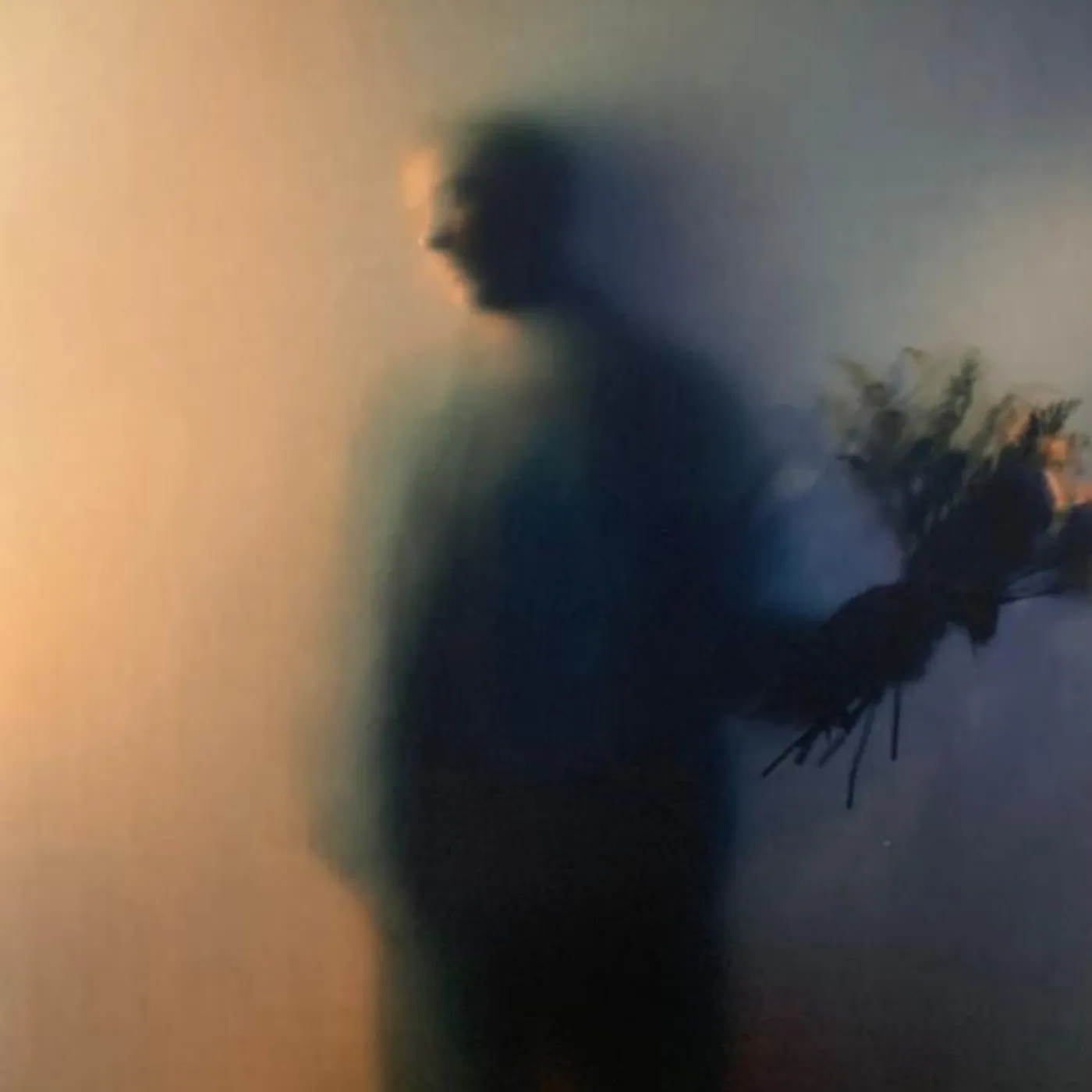 Ben Bohmer Bloom (Peach/2lp) Vinyl Record