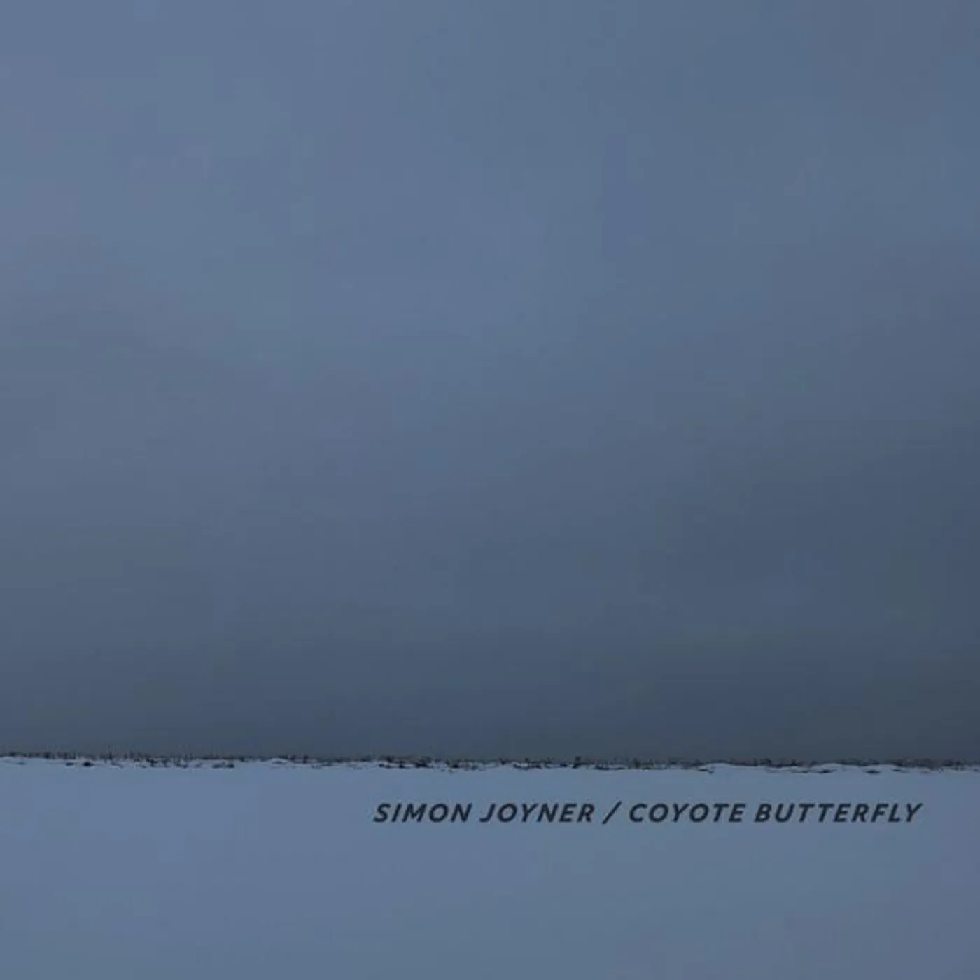 Simon Joyner Coyote Butterfly Vinyl Record