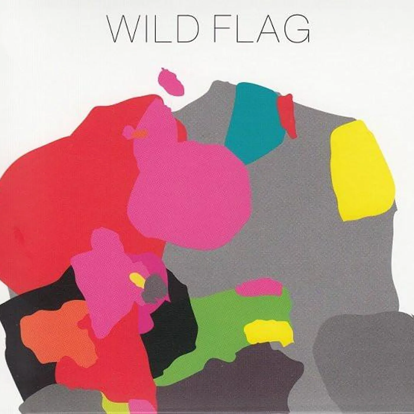 WILD FLAG CD
