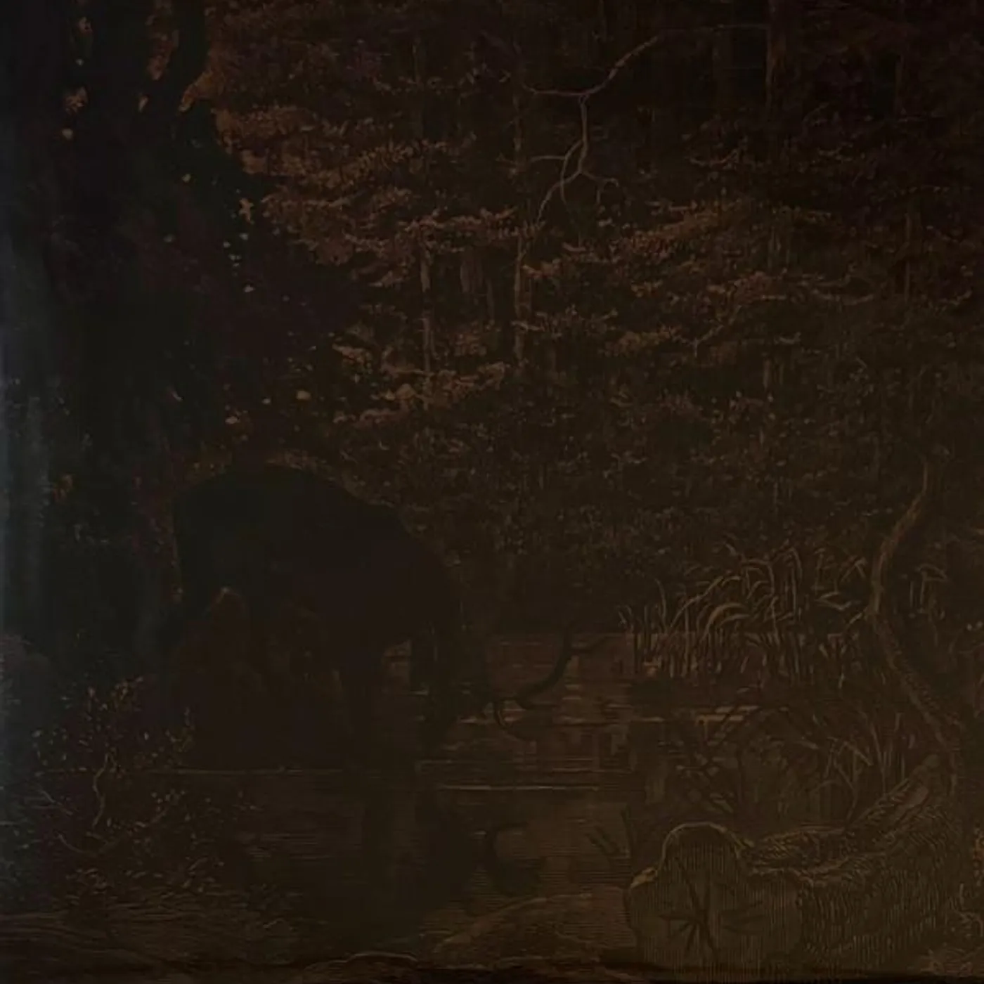 Agalloch OF STONE WIND & PILLOR Vinyl Record